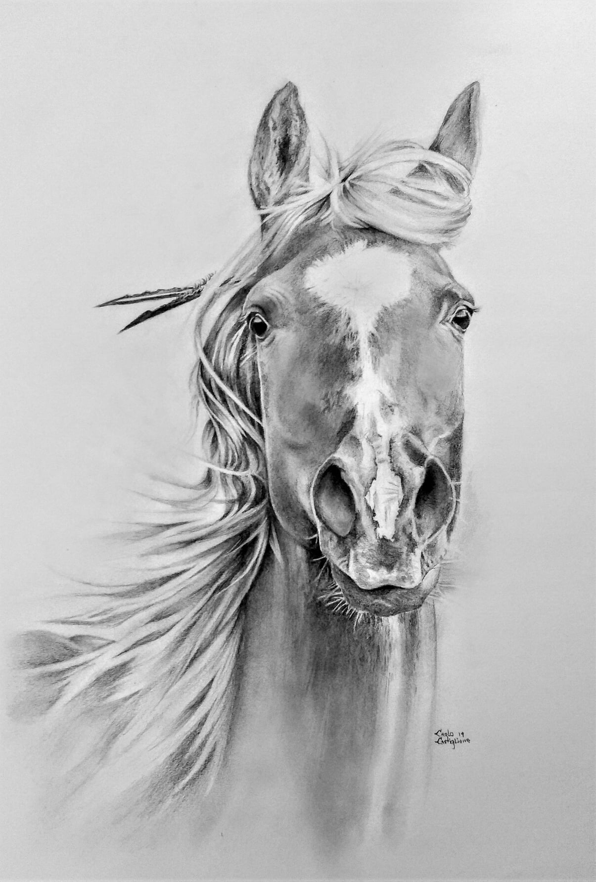 Spiritlife Portraits - Horse Drawings